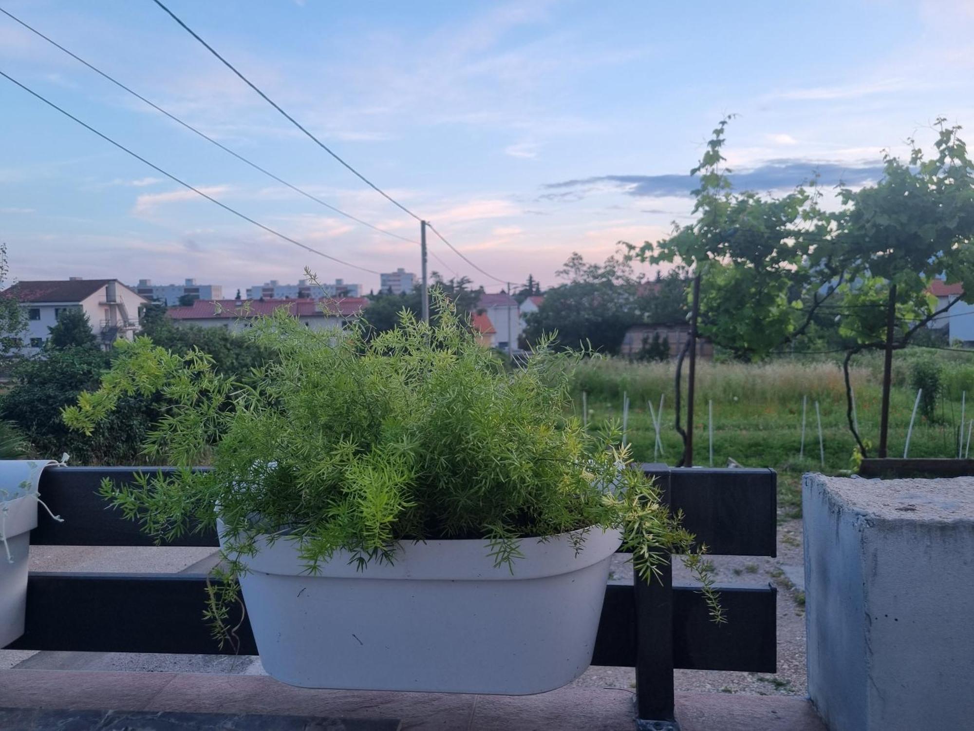 Apartman Dasa Rijeka Eksteriør billede