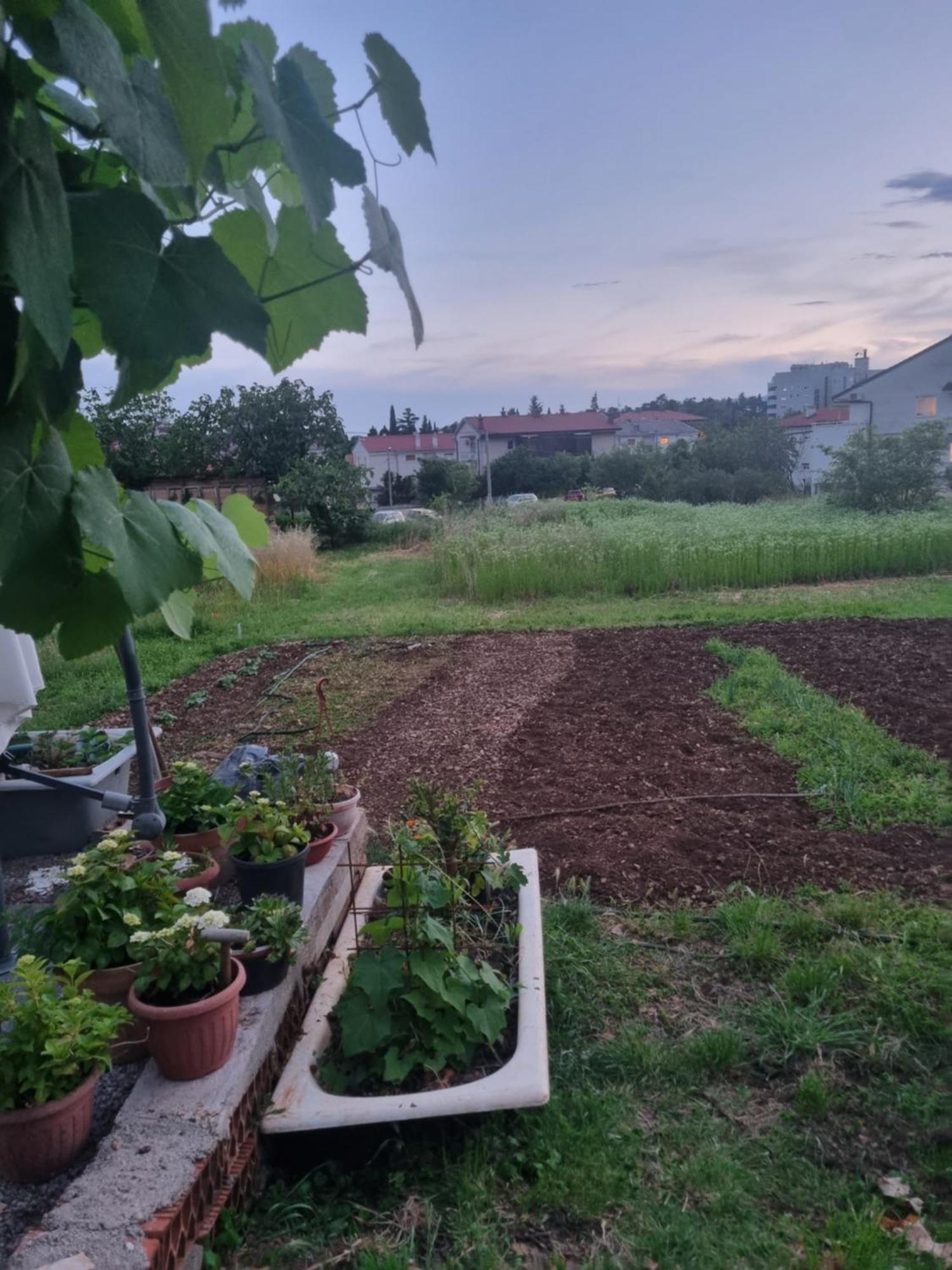 Apartman Dasa Rijeka Eksteriør billede
