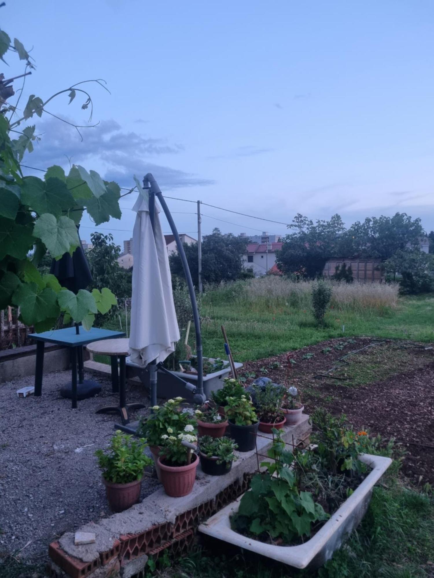 Apartman Dasa Rijeka Eksteriør billede